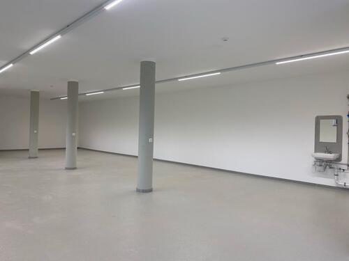 Foto - andere in Litzendorf