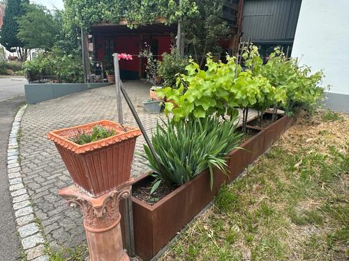 Foto - 4 Zimmer Bauernhaus, Landhaus in Rottenburg am Neckar