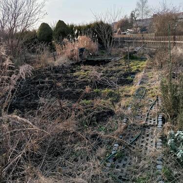 Foto - Grundst&uuml;ck in Halle (Saale) zur Miete