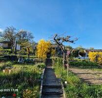 großer Kleingarten in FrankfurtO - Frankfurt (Oder) Booßen