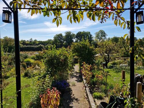 Foto - Grundst&uuml;ck zur Miete in Frankfurt (Oder)