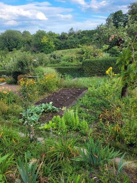 Foto - Grundst&uuml;ck in Frankfurt (Oder) zur Miete