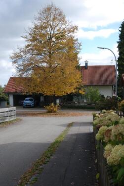 Foto - Einfamilienhaus in Kottgeisering zum Kaufen