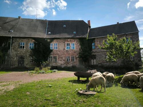 Foto - Wohnung mit Pferd Stall auf Schloss Friedeburg (06347 Gerbstedt)