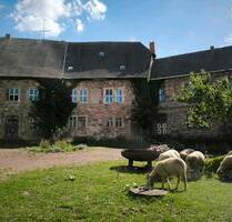 Wohnung mit Pferd Stall auf Schloss Friedeburg (06347 Gerbstedt)