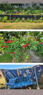 Foto - Schrebergarten Garten in Aldenhoven abzugeben