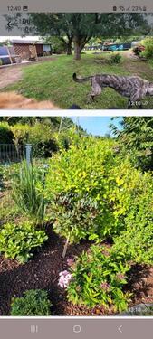 Foto - Grundst&uuml;ck in Niederzier