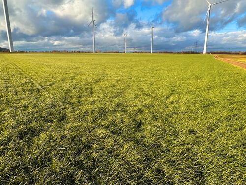 Foto - Ackerflächen mit Windkraftnutzung in Jülich