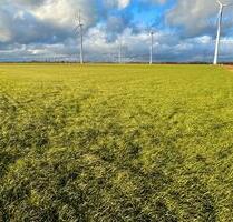 Ackerflächen mit Windkraftnutzung in Jülich