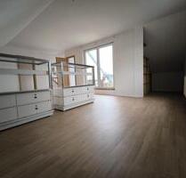 4 Zimmer Wohung mit Dachterrasse, Badewanne & Dusche + Gäste-WC, PKW-Stellplatz, Jan. mietfrei! - Chemnitz Borna-Heinersdorf