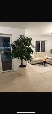 Foto - 3- Zimmerwohnung in Ulm Stadtmitte