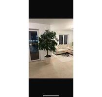 3- Zimmerwohnung in Ulm Stadtmitte