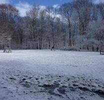 ***PSST...***GEHEIMTIPP**WOHLFÜHLEN IN BÖHLITZ-EHRENBERG** KLEIN, GEMÜTLICH & BEZAHLBAR & MIT SCHICKER AUSSTATTUNG!*** - Leipzig Altwest