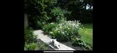 Foto - andere in Aurich