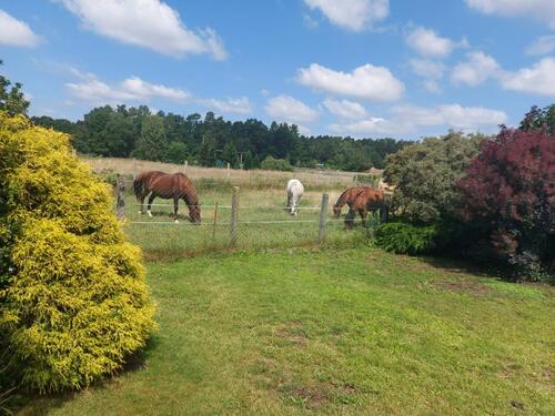 Foto - Haus & Grundstück bei Oranienburg Ideal für Familien