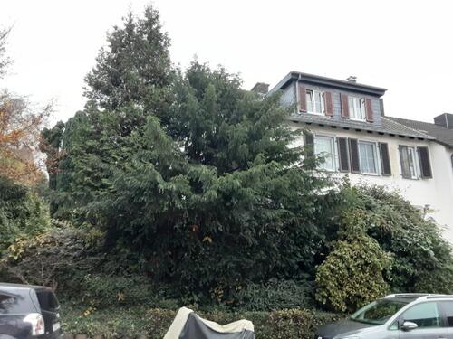 Foto - Neu sanierte EG Wohnung mit großem Garten
