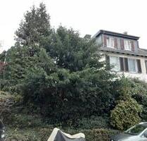 Neu sanierte EG Wohnung mit großem Garten - Velbert Velbert-Mitte