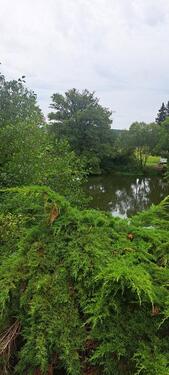 Foto - 5 Zimmer Einfamilienhaus zum Kaufen in Weidhausen bei Coburg