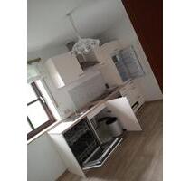 Einliegerwohnung zu vermieten - 515,00 EUR Kaltmiete, in Illschwang (PLZ: 92278)