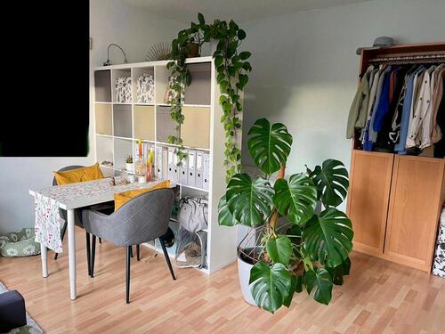 Foto - 1 Zimmer Etagenwohnung zur Miete in Alsfeld