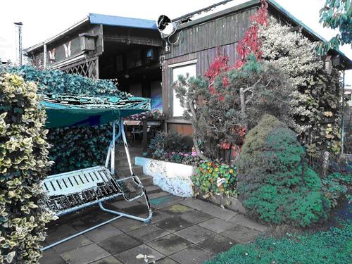 Foto - 'Schöner Kleingarten mit Laube zum pachten'