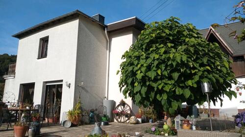 Foto - Einfamilienhaus zu verkaufen - 285.000,00 EUR Kaufpreis,