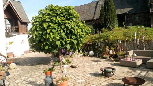 Foto - Einfamilienhaus in Montabaur zum Kaufen