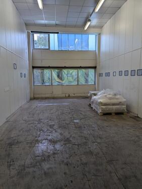 Foto - Zentral gelegene Kaltlagerhalle mit Rampe und LKW-Zufahrt