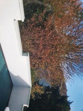 Foto - 2 ZKB Schauenburg-Breitenbach - 630,00&nbsp;EUR Kaltmiete, ca.&nbsp; 63,00&nbsp;m&sup2;