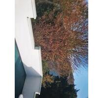 2 ZKB Schauenburg-Breitenbach - 630,00&nbsp;EUR Kaltmiete, ca.&nbsp; 63,00&nbsp;m&sup2; in Schauenburg (PLZ: 34270)