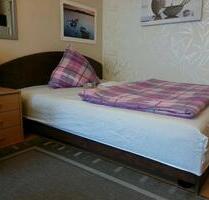 Zentrale vollmöblierte provisionsfreie 1 Zimmer Wohnung 30 qm - Nürnberg Hasenbuck