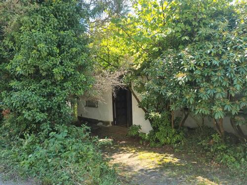 Foto - 7 Zimmer Einfamilienhaus zum Kaufen in Baiersbronn