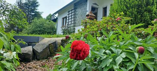 Foto - Ferien in der Eifel, Ferienwohnung in Ramscheid
