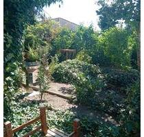 Weisenheim am Sand, Gelegenheit! 1-2Fam.Haus mit Scheune, Garten,