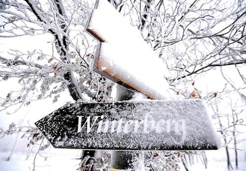 Foto - Ferienwohnung Winterberg -Stadt