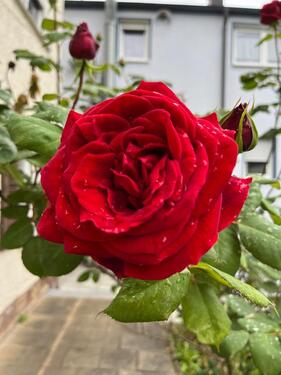 Foto - großzügige 3 12 Zimmerwohnung mit Küche und Bad in Schramberg