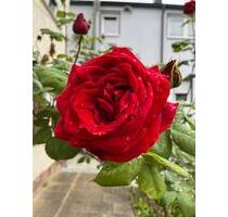 großzügige 3 12 Zimmerwohnung mit Küche und Bad in Schramberg