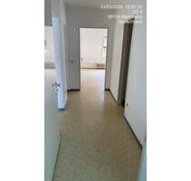 2,5 Zimmer Wohnung Mannheim Quadrate Top Lage WG möglich