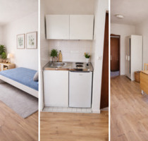 Frisch renovierte, möblierte Single-Wohnung nahe Leipzig! - Markranstädt