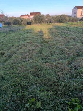 Foto - andere in Dornstadt