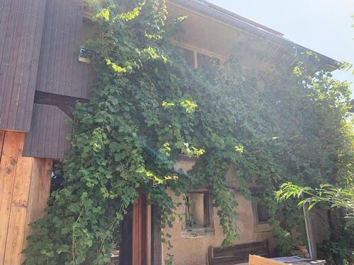 Foto - andere in Ehrenkirchen