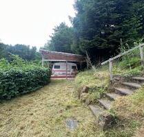 Idyllischer Platz im Grünen (Dauercampingplatz, Garten) - Rudolstadt