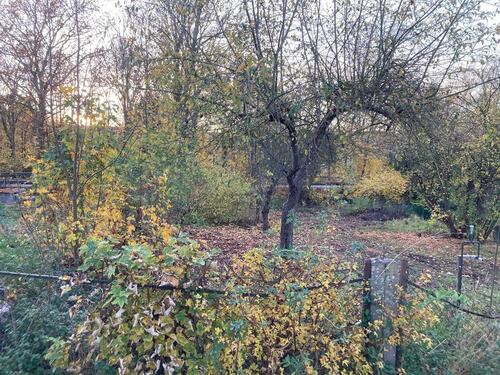 Foto - Garten Grundstück Freizeit - 80,00 EUR Kaltmiete, ca.  0,00 m²