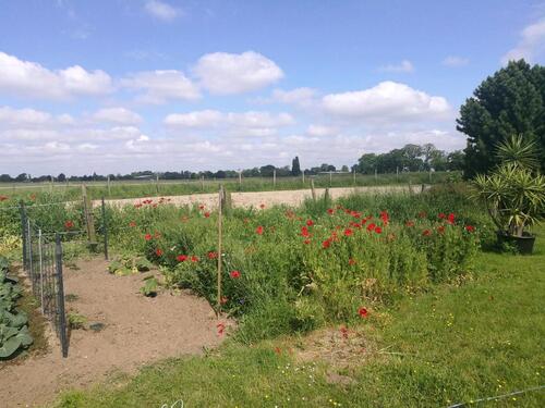 Foto - Haus Erdgeschoss zu vermieten - 1.200,00&nbsp;EUR Kaltmiete, ca.&nbsp; 110,00&nbsp;m&sup2;