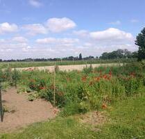 Haus Erdgeschoss zu vermieten - 1.200,00&nbsp;EUR Kaltmiete, ca.&nbsp; 110,00&nbsp;m&sup2; in Krefeld (PLZ: 47839) Hüls