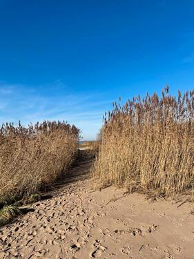 Foto - andere in Glückstadt