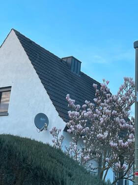 Foto - Einfamilienhaus mit sehr großem Garten in Rheine- Mesum