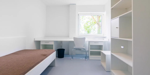Foto - Schönes Zimmer in Hohenheim – 1 Monat Untermiete im September