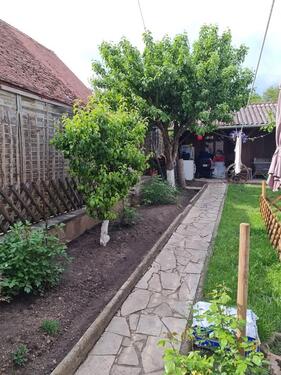 Foto - 5 Zimmer Einfamilienhaus in Neuenstadt am Kocher