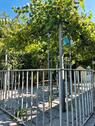 Foto - Einfamilienhaus zur Miete in Leipheim